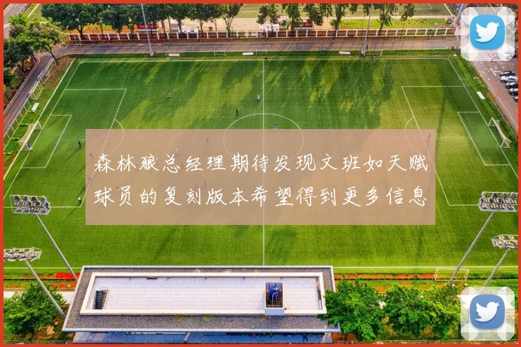 森林狼总经理期待发现文班如天赋球员的复刻版本希望得到更多信息