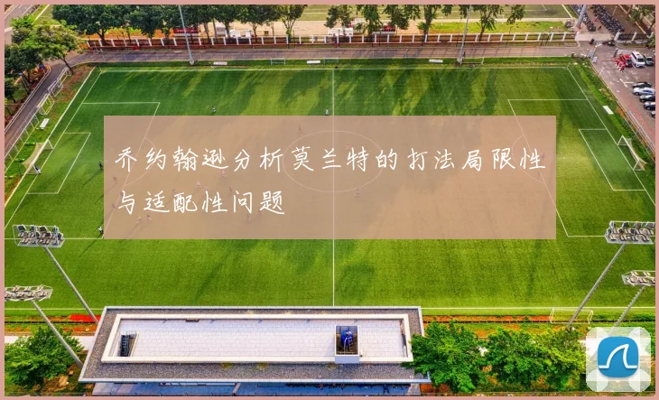 乔约翰逊分析莫兰特的打法局限性与适配性问题
